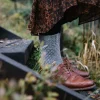 Laine Publishing 52 Weeks of Socks* Neulontakirjat|Neulontakirjat
