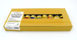 Suomalainen.com Akryylivärilajitelma 10 x 60 ml W&N Galeria, Suomen värisävyt* Winsor & Newton|Värit