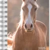 Burde Compact Pets 2025-2026 (lukuvuosikalenteri)* Kalenterit|Opiskelutarvikkeet