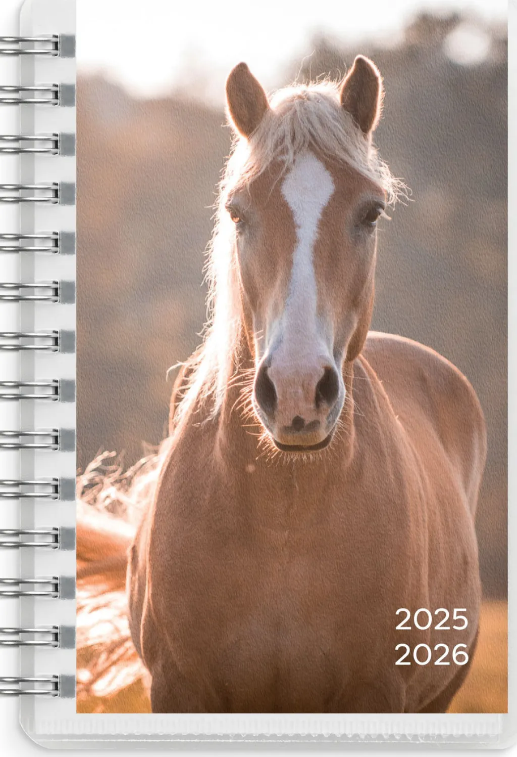 Burde Compact Pets 2025-2026 (lukuvuosikalenteri)* Kalenterit|Opiskelutarvikkeet