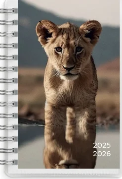Burde Compact Pets 2025-2026 (lukuvuosikalenteri)* Kalenterit|Opiskelutarvikkeet