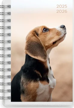 Burde Compact Pets 2025-2026 (lukuvuosikalenteri)* Kalenterit|Opiskelutarvikkeet