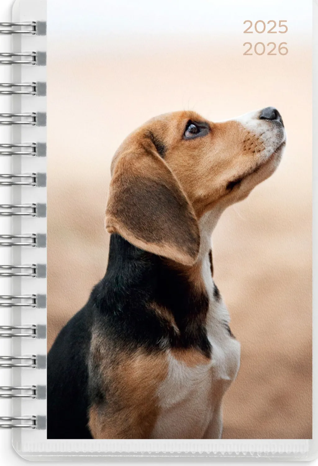 Burde Compact Pets 2025-2026 (lukuvuosikalenteri)* Kalenterit|Opiskelutarvikkeet