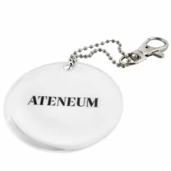 Heijastin Ateneum Närhiä