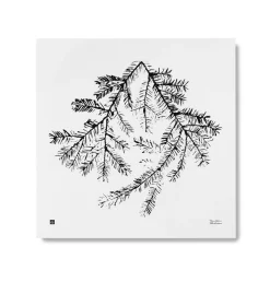 Suomalainen.com Juliste Teemu Järvi Kuusenoksa 50x50 cm* Kehykset Ja Taide|Julisteet Ja Teemapakat