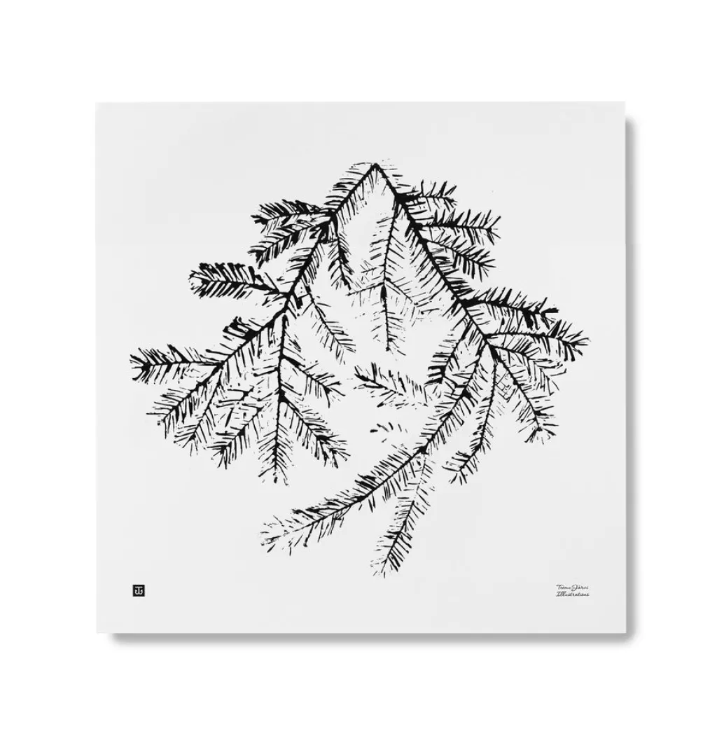 Suomalainen.com Juliste Teemu Järvi Kuusenoksa 50x50 cm* Kehykset Ja Taide|Julisteet Ja Teemapakat