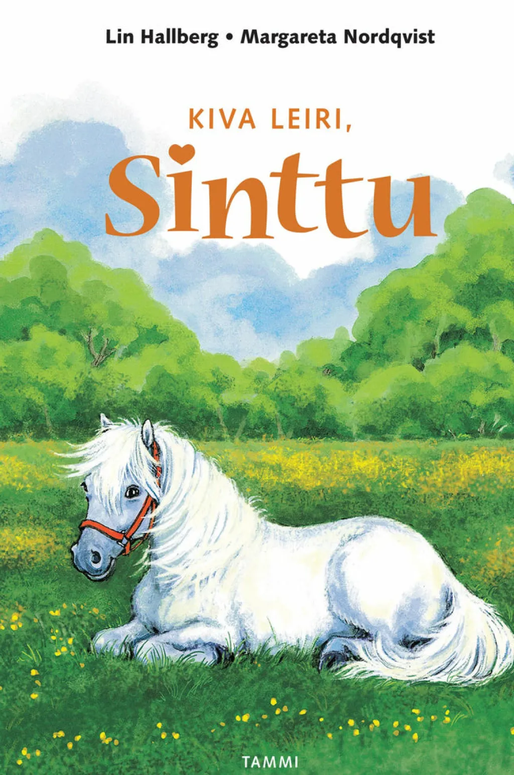 Tammi Kiva leiri, Sinttu* Helppolukuiset Kirjat Lapsille