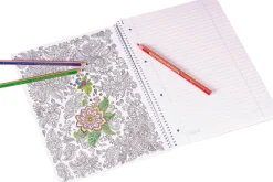 Baier & Schneider GmbH & Co. KG Luentolehtiö ZENart Butterfly A4, 80 lehteä, 90 g, viivoitettu ,2 marginaalia* Kirjoitus- Ja Muistiinpanovälineet