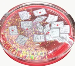 Älypuhelimen pidike Hogwarts Letters PopSocket