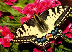Ravensburger Palapeli 500 palaa Butterfly* Palapelit|Pelit Ja Lelut