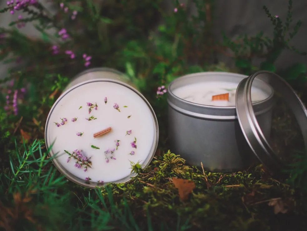 Soijavahakynttilä sammal Metsä/Skogen x Candle Light Story 250 g