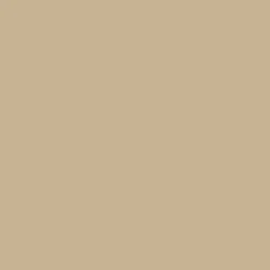 Nakoma Products LLC Tekstiiliväri Rit Dye 236 ml Taupe 34* Muut Askartelutarvikkeet|Askartelu