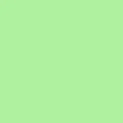 Nakoma Products LLC Tekstiiliväri Rit Dye 236 ml Neon Green 21* Muut Askartelutarvikkeet|Askartelu