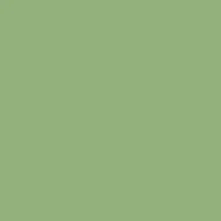 Nakoma Products LLC Tekstiiliväri Rit Dye 236 ml Kelly Green 32* Muut Askartelutarvikkeet|Askartelu