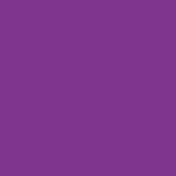 Tekstiiliväri Rit Dye 236 ml Purple 13