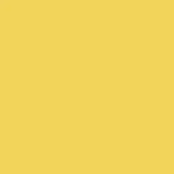 Nakoma Products LLC Tekstiiliväri Rit Dyemore 207 ml Daffodil Yellow 11* Muut Askartelutarvikkeet|Askartelu