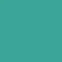 Tekstiiliväri Rit Dyemore 207 ml Tropical Teal 61